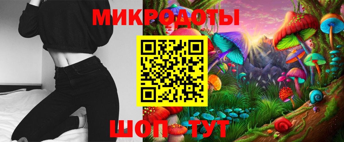 Псилоцибиновые грибы Psilocybine cubensis Семёнов